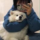 书友74776