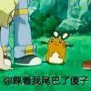 书友43195