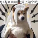 书友64412