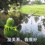 不跳舞的小熊