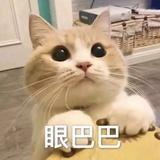 八月君
