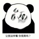 白老爷