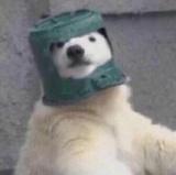 一个人的时光