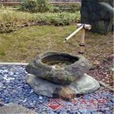 乱七八糟小龟