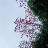 My夫人专用