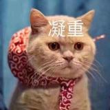 三千大红豆