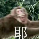 书友99439