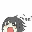 关阙愚不可及
