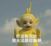 文静如我