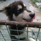 我是一个你随意