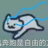 要你命干啥