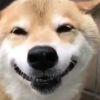 stuff黑道