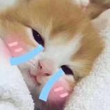 烟波的蓝﹏