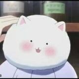 楼高不见人
