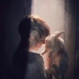 盗马贼