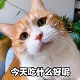 可口可乐忽