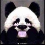 大大茹