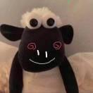 书友58660