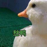 humeng940113