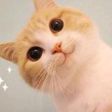 书友36596