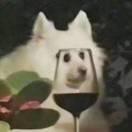 书友39770