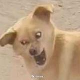 注销个鬼