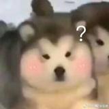 吾鹏