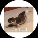 讨厌麻烦