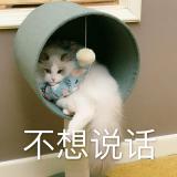 哈哈哈哈