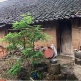 百年黑店诚信经营