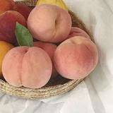 孟拖饿t担