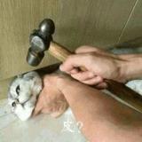 喔霍