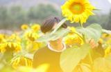 小鹿是个女同学