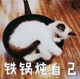 班皮