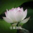 思拮