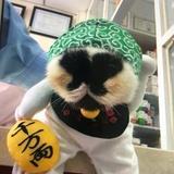吾乃荒川之主