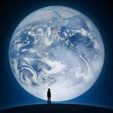 浮华沧伤谁为谁伤