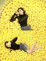 韦哆娜nuo