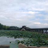 小弟大哥