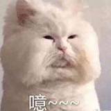 沉尘-r
