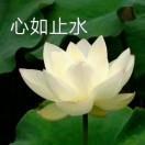 书友27384