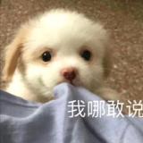 浏尨