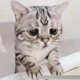 你都不懂