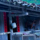 唐唐三十六