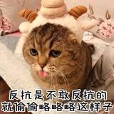 郭嘤嘤