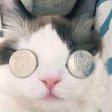 汐风