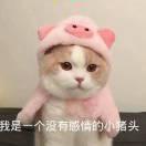 素洇