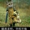 加强连