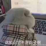 呆胶布加油鸭