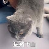 溜溜梅